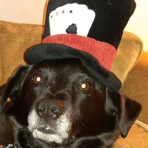 Meet your Posher, Mark